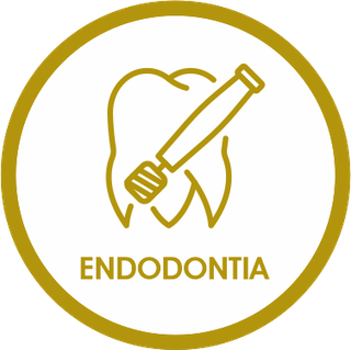 Endodontia